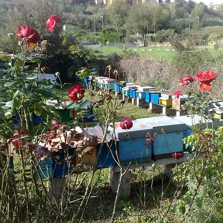 Il Giardino Di Gabri Bed & Breakfast