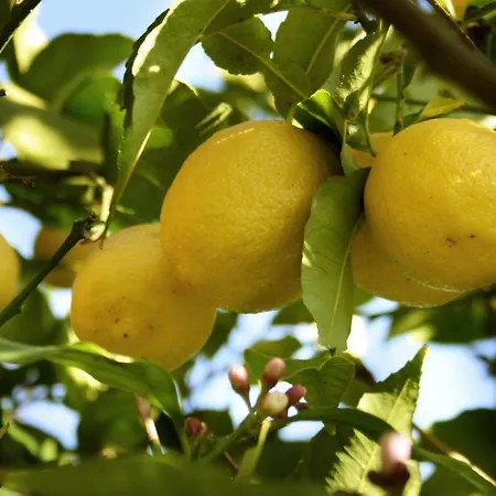 Il Giardino Di Gabri