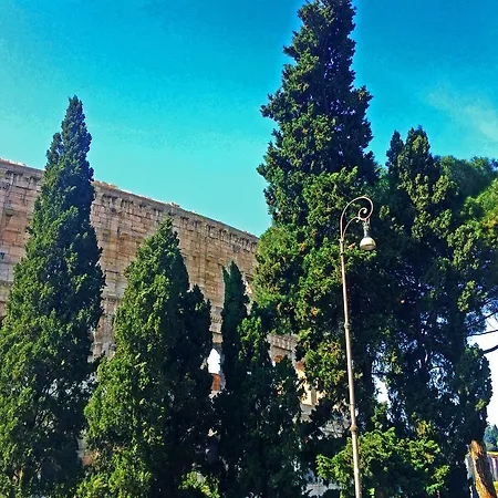 Miclad Colosseum Rome