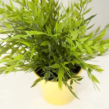 Bed & Breakfast Smart Holidays Roma