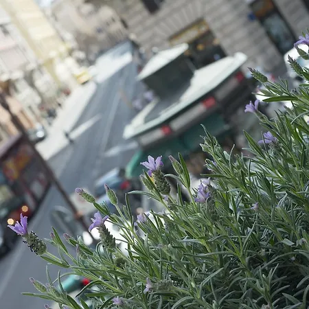 Corso Vittorio 308 לינה וארוחת בוקר רומא