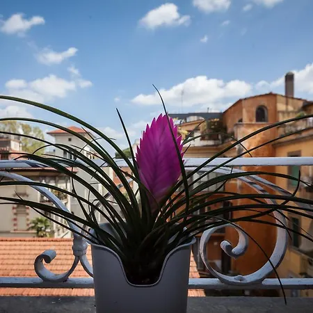 Guest house Casa 901 - The Italian Collection Rome