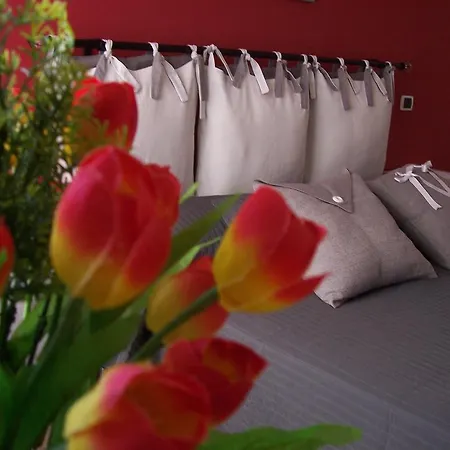 Bed & Breakfast Divina Rome