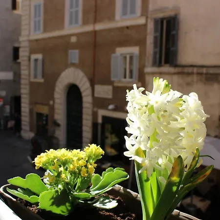 Hub Navona 3* Rom