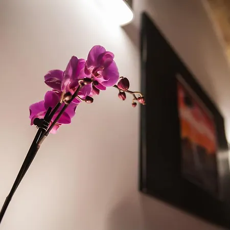Chroma Italy - Chroma Trastevere Apartment