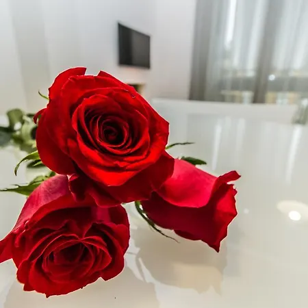 Myapartsuite Trastevere *