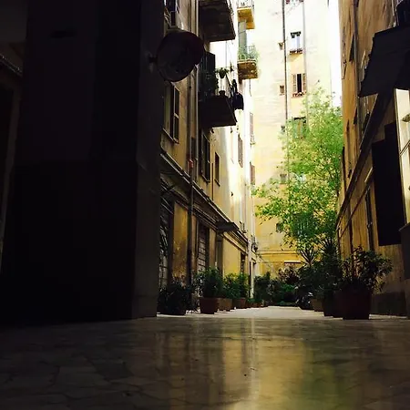 Hostel Tempus