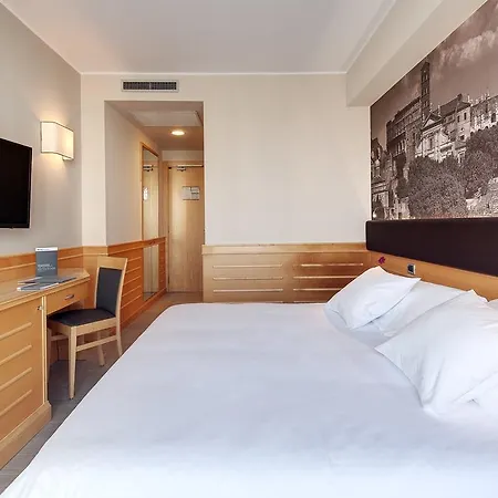 Hotel Occidental Aran Park 4*