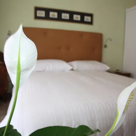 Anice Guesthouse