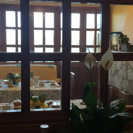 Stellato House Bed & Breakfast Roma