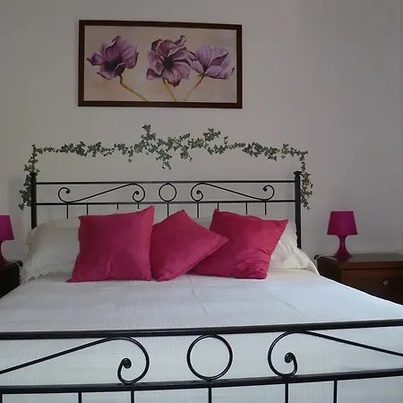 Holiday Il Sogno A San Pietro * Rome