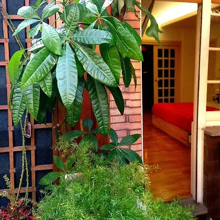 Il Limone Nascosto Guest house