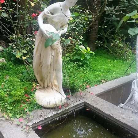 Guest house Il Limone Nascosto Rome