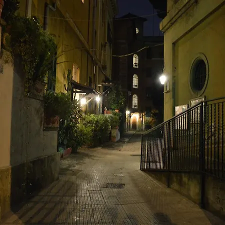Nel Cortile Segreto