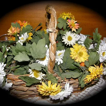 Guest house Sant Andrea *