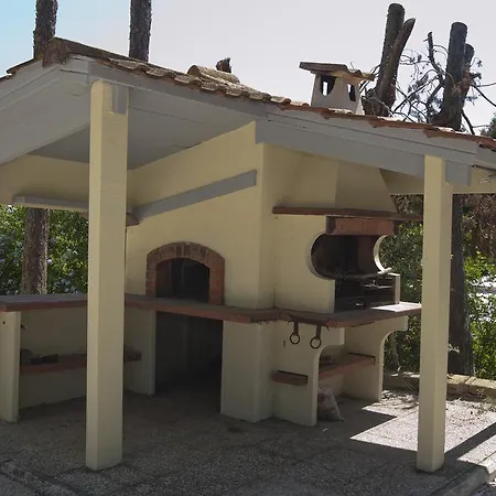Domus In Viridi Roma