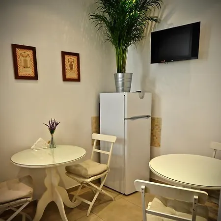 Guest house Babuino 127 2*