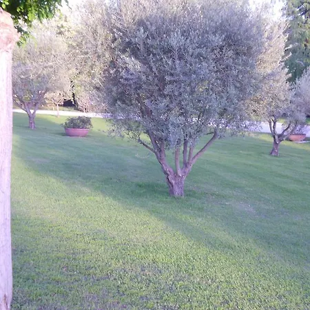 Guest house Luxardotel Rome