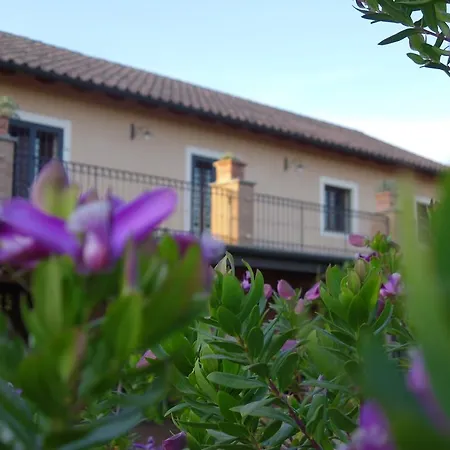 Guest house Luxardotel