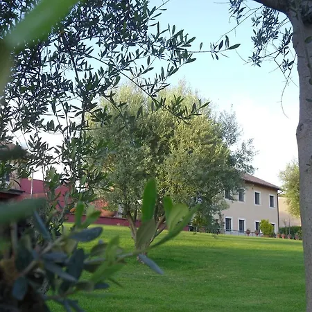 Luxardotel Guest house 2*