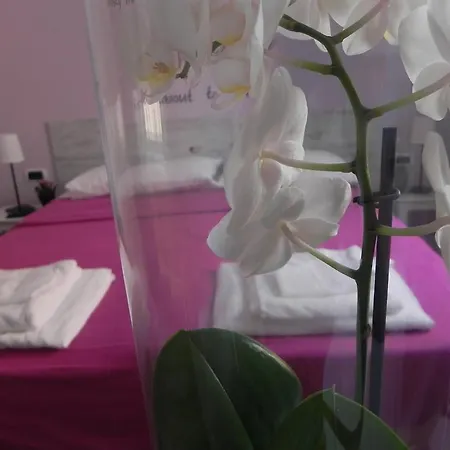 Guest house Vica Pota