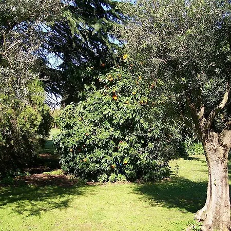 Apartment Casale Di Caccia Rome