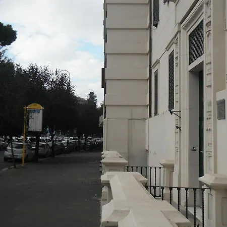Domi Aloisii