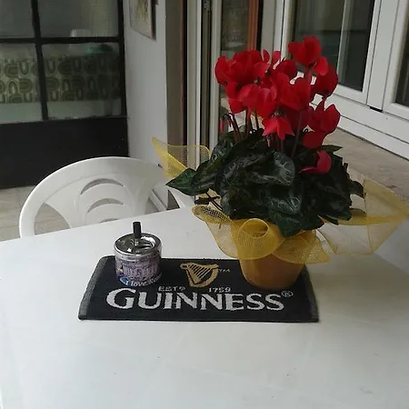 Bed & Breakfast In Rima