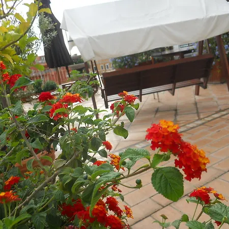 Apartment La Terrazza Di Monteverde