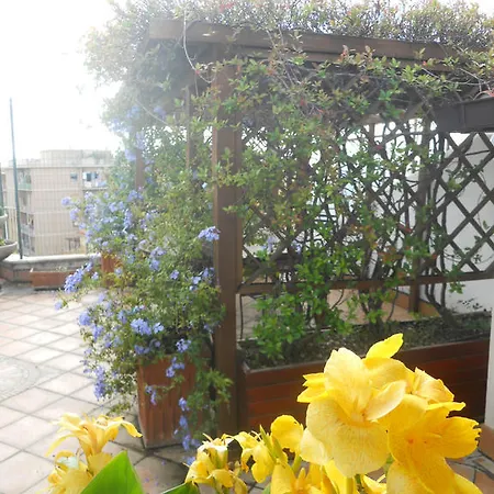 Apartment La Terrazza Di Monteverde Rome