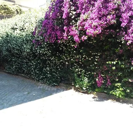 La Casa Di Ro