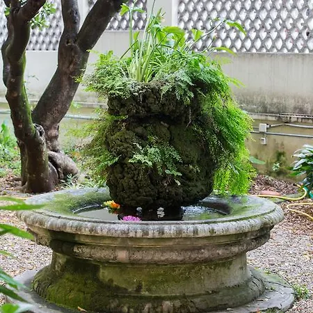Urban Pine Rooms