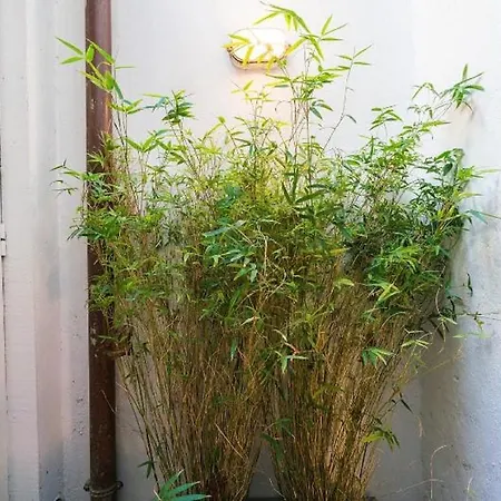 Apartment Garibaldi Roof Garden