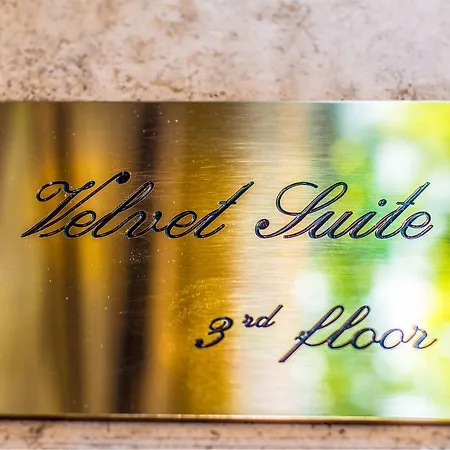 Pensjonat Velvet
