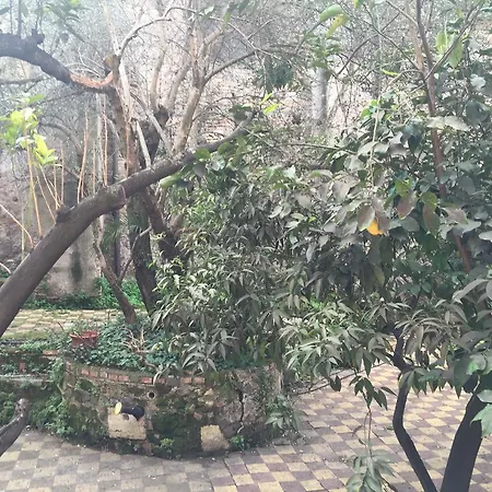 Hotel Domus Aventina Rome
