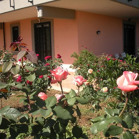 Flores Rome