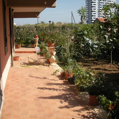 Flores Rome