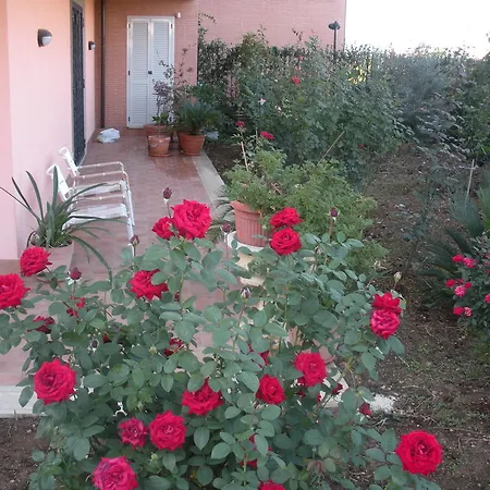 Flores