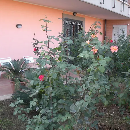 Flores Rome