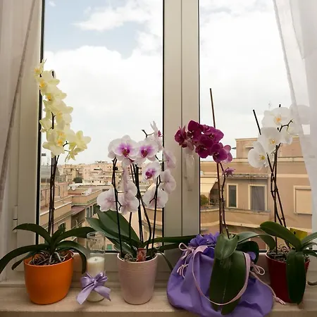 Bed and breakfast La Duchessa A