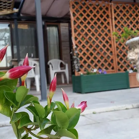 Apartment Casetta Delle Muse *