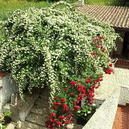 Apartment Casetta Delle Muse *
