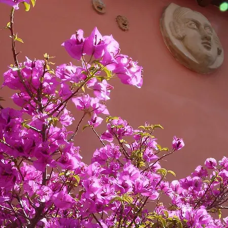 Bed & Breakfast Li Rioni Bed & Breakfast *