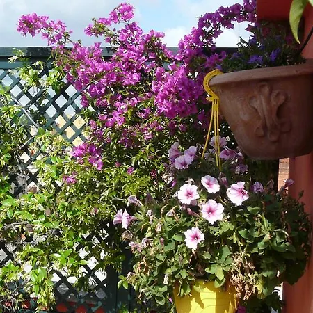 Bed & Breakfast Li Rioni Bed & Breakfast Rome