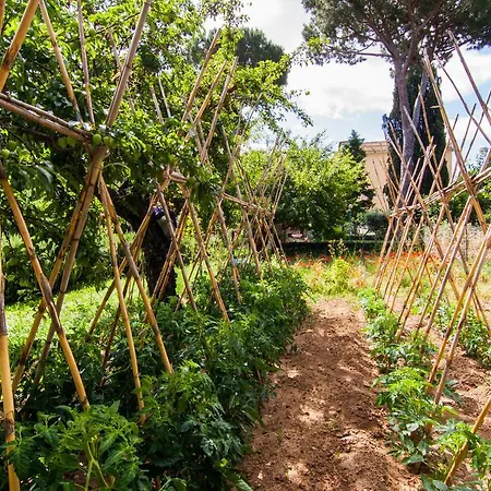 Maison d'hôtes Monte Mario Rome