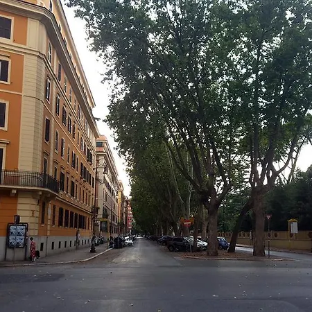 Design Flaminio Rome