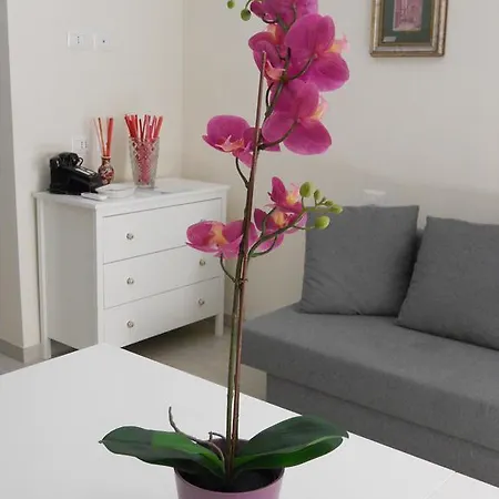 Casa vacanze Dormi Bottega *