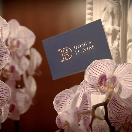 Domus Flaviae Рим