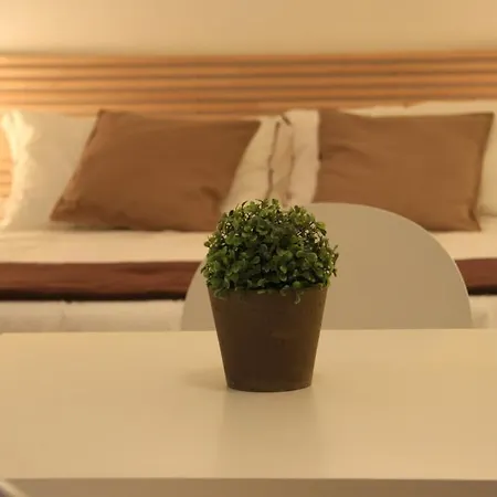 Dalmati House Rome