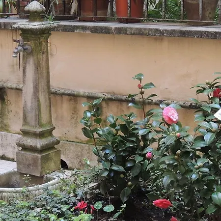 Morelli Bed & Breakfast Rome